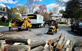 Best Storm Damage Tree Cleanup  in New London, TX