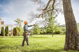 Best Aeration Services  in New London, TX