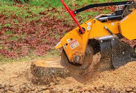 Best Lawn Pest Prevention  in New London, TX