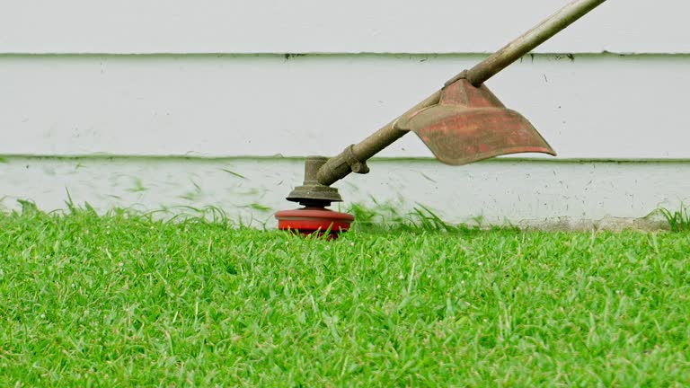 Best Grass Overseeding  in New London, TX